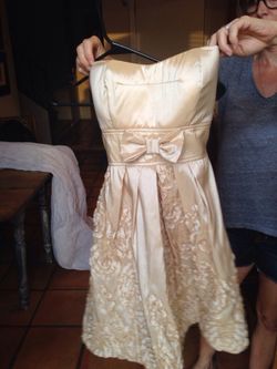 Windsor Champagne Size 3 Dress