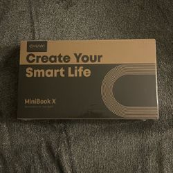 Minibook X 