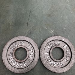 Olympic Pair of 2.5 Steel Weight Plates 