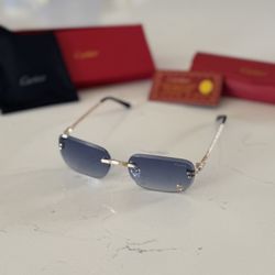 Designer Sunglasses 