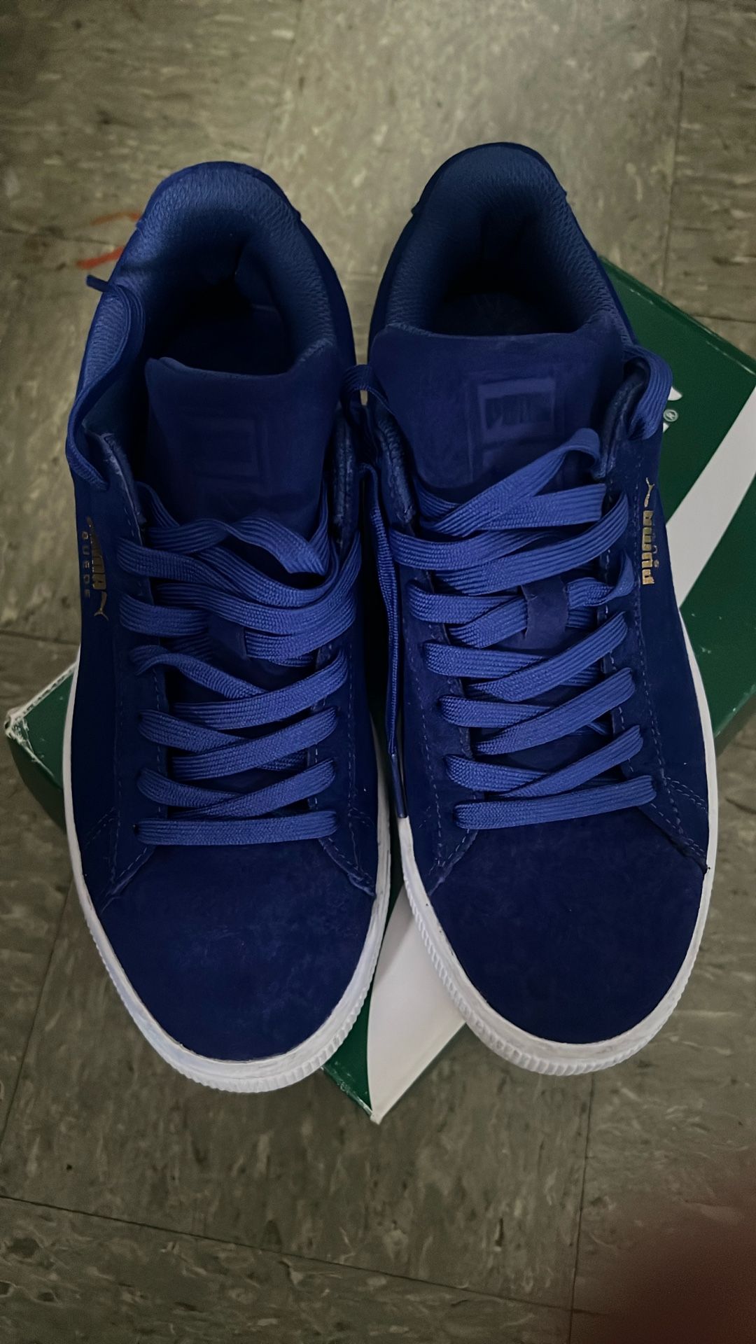 Puma