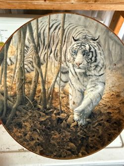 Porcelain Collectors plate
