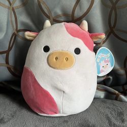 Reshma Squishmallow 