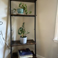 Wood Ladder Shelf