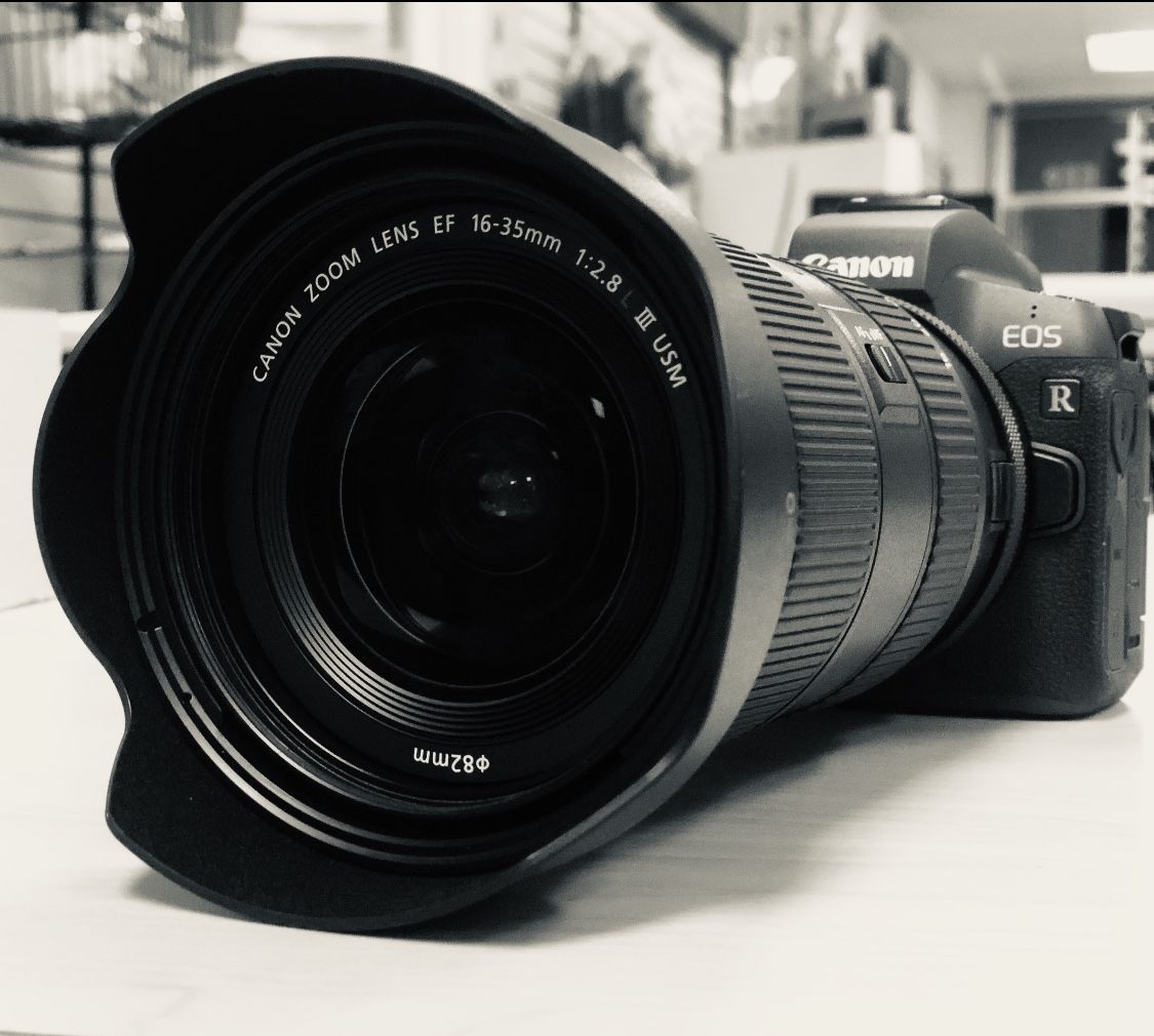 Canon EOS R Body Only