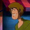 Shaggy