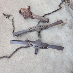 Antique Bear Traps 