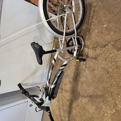 Adams Original Shifter 7 Bike Trailer