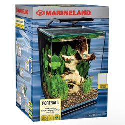 5 Gallon Fish Tank