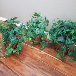 3 Artficial PLANTS LOCATED IN WYLIE. MEASURES  15".  $15  Ea.