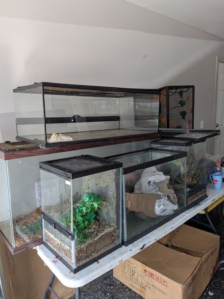 Reptile Enclosures