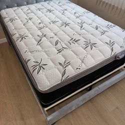 Queen Mattress And Box Spring New !