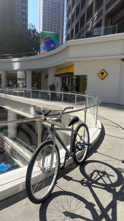 Throne grey coraline 29er