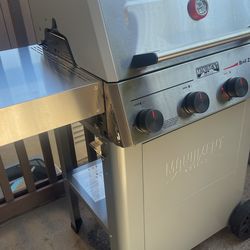 Stainless Steel Grill