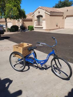 Schwinn Meridian Adult Tricycle.