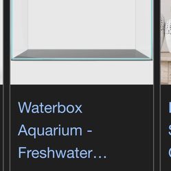 Waterbox 10 Gallon Aquarium 