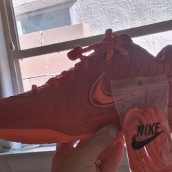 Nike LeBron '21 James Gang