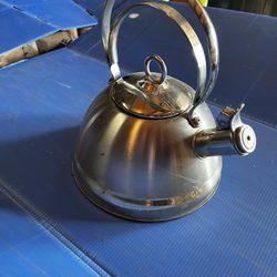 Stainless Steel Whistling Tea Kettle