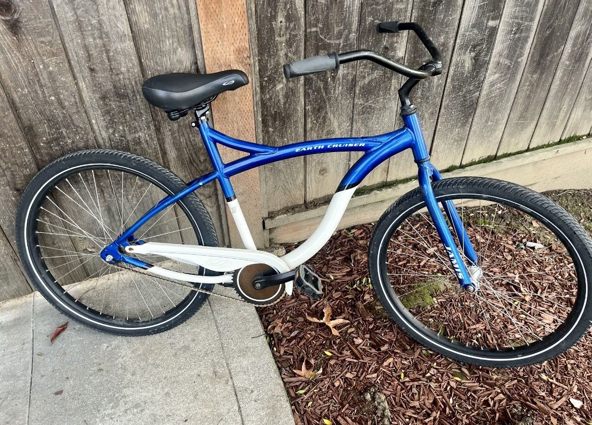 Burning Man Earth Cruiser Bike 