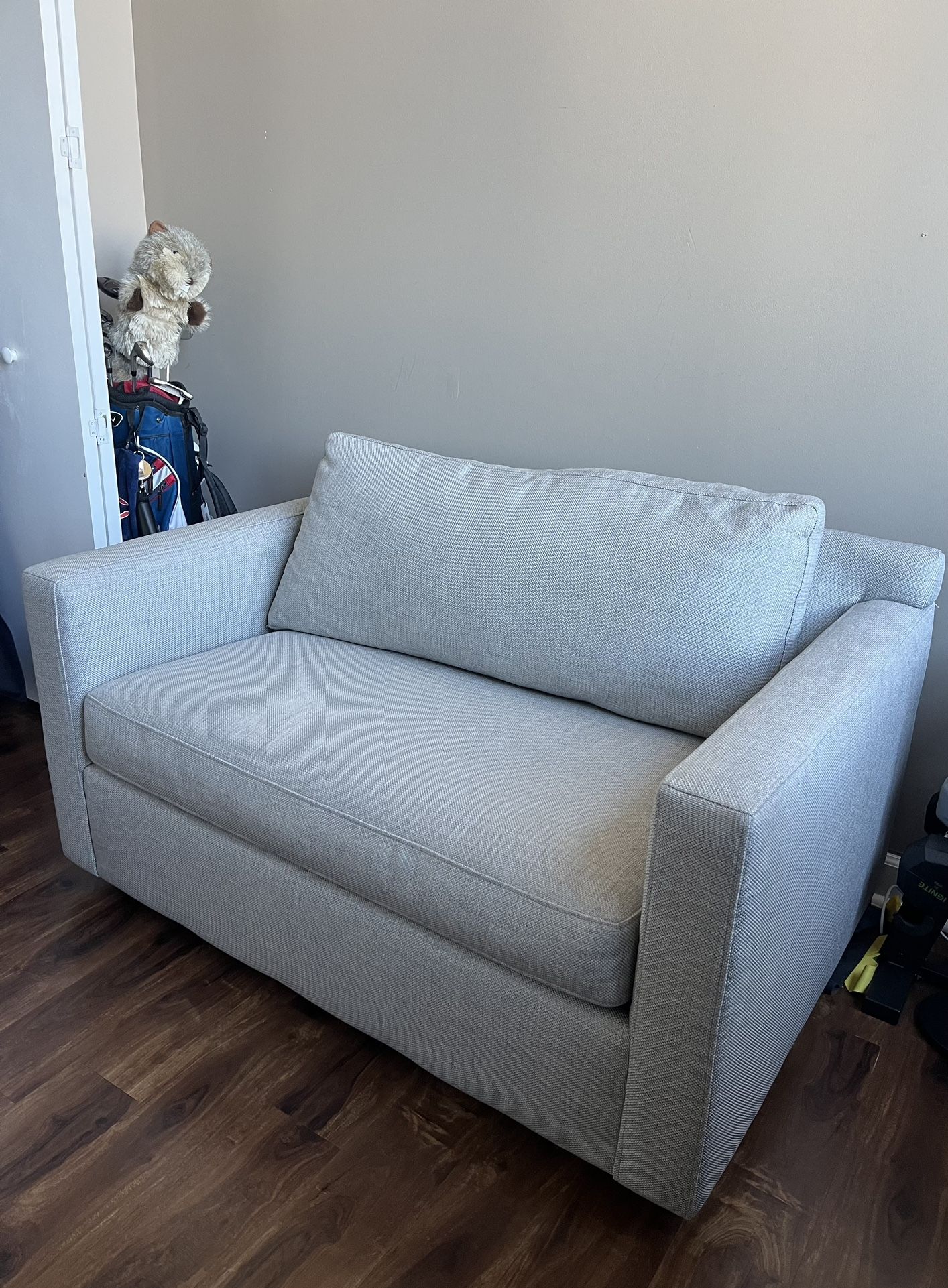 Crate and Barrel Twin Sleeper sofa