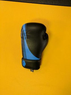 Boxing gloves, focus mitts and belly protector