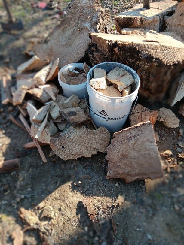 Handpicked Chunks Of Oklahoma Pecan Ready For Smoking