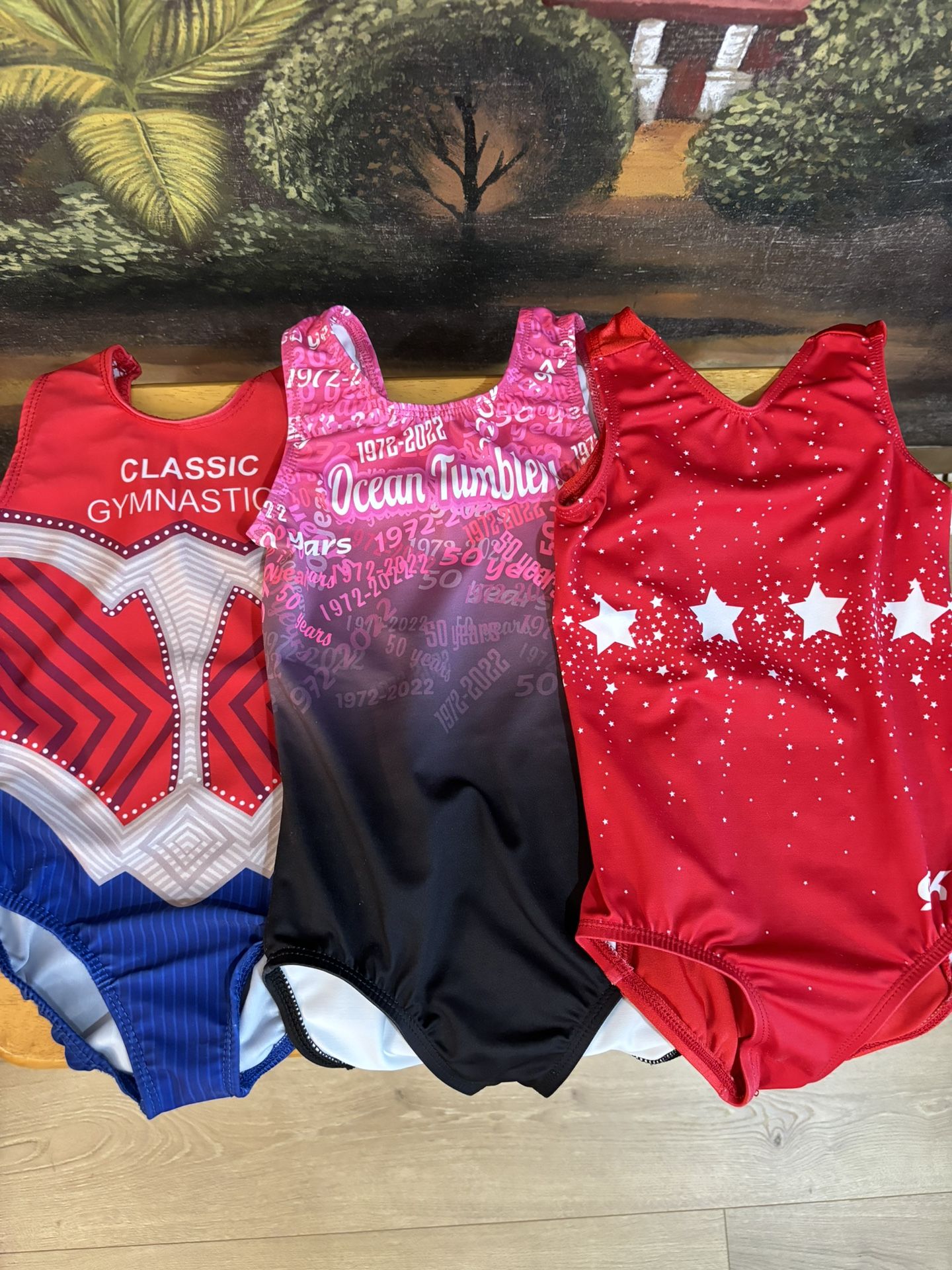 3 Little Girls Gymnastics Leotards 