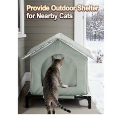 Cat house