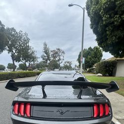 2018 Mustang Ecoboots