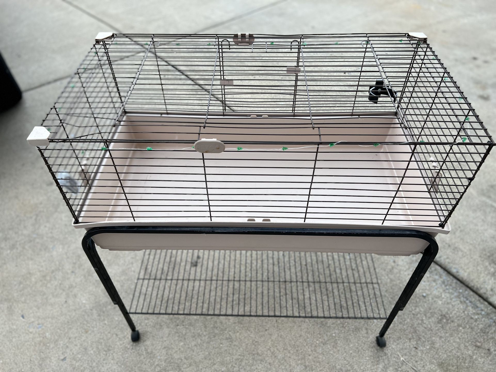 Bunny Cage