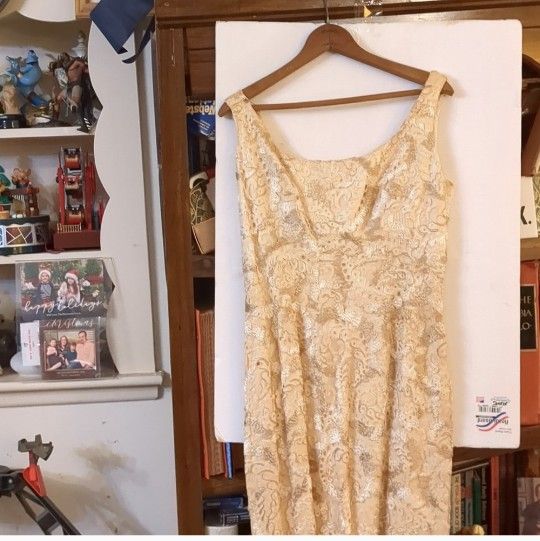 Prom Gown w/Shawl