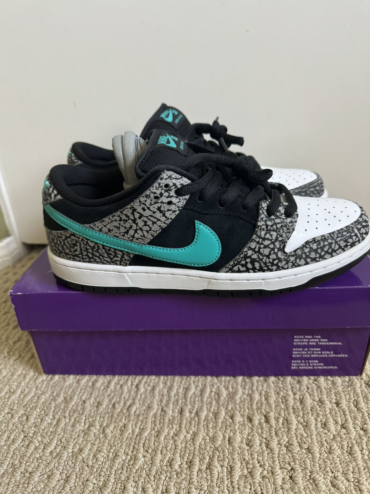 Nike SB Dunks Atmos Elephant