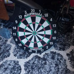 Bristle  Dart Board 