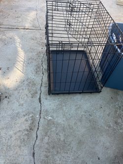 24” Small Dog crate