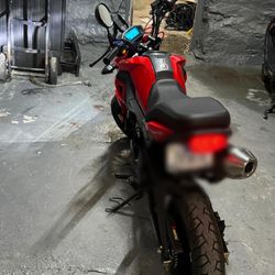 Honda Grom Clone
