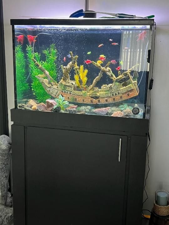 Fish Tank With Fish And Pump