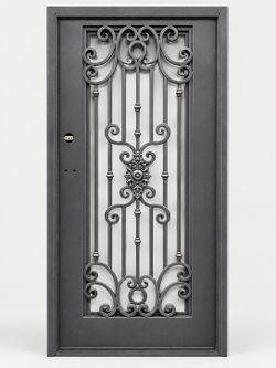 Mimosa Wrought Iron Entry Door – 38" × 81"