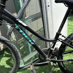 Trek Bike