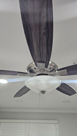 Hampton Bay Hunter 52-Inch Ceiling Fan with Light