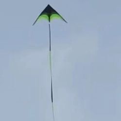 New Flying Kite Outdoor Kite