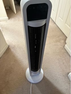Fan