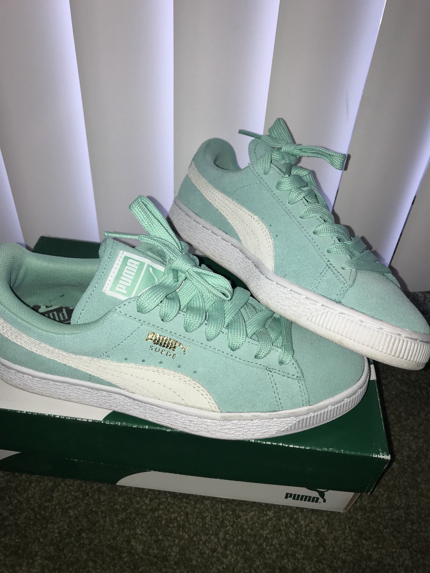 Pumas