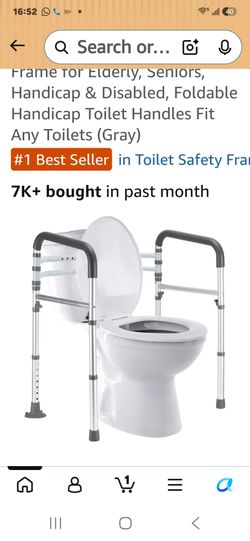 Toilet Safety Rails