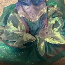 Little Mermaid Costume/dress 