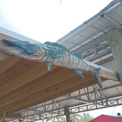 Life-size Wahoo Carving . 