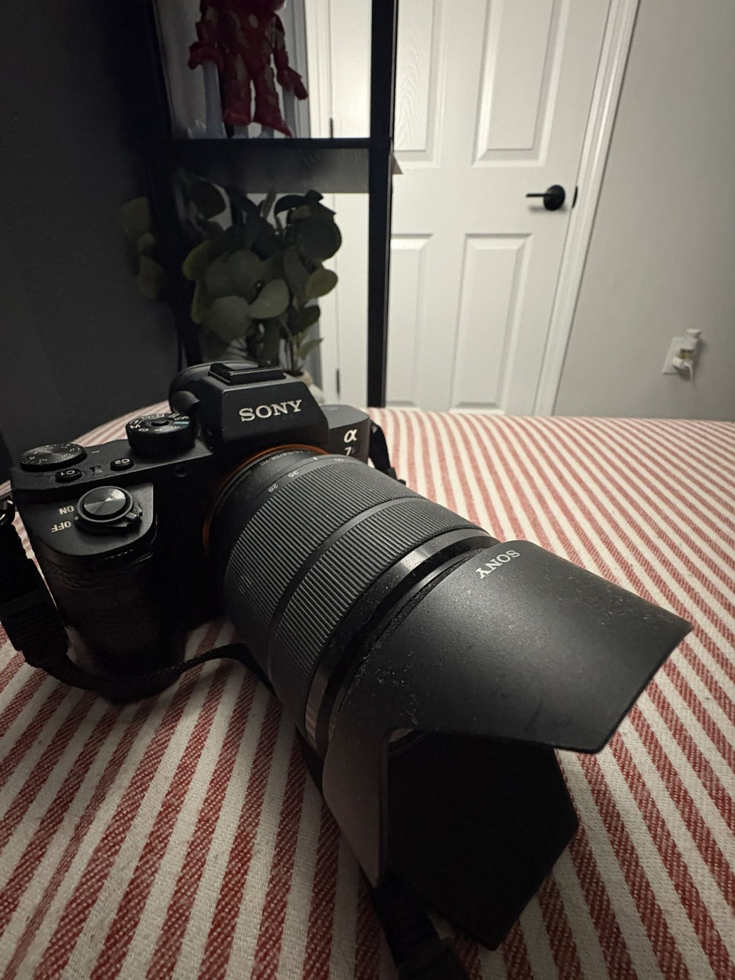 Sony A7sii