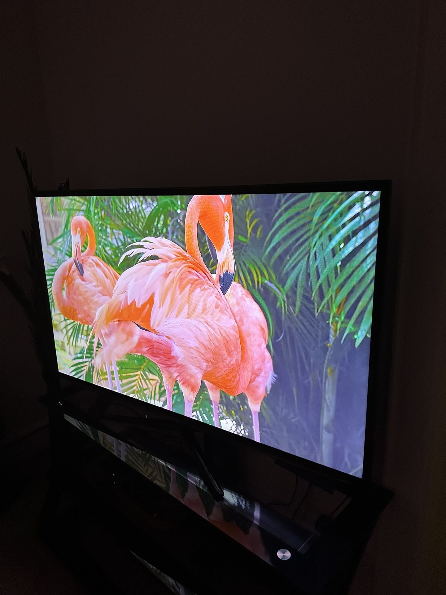 Samsung 55inch TV