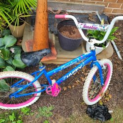 Small Girl's Bicycle 