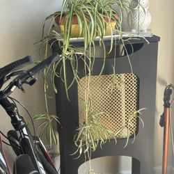 Cute Over A Vent stand And Decorations 