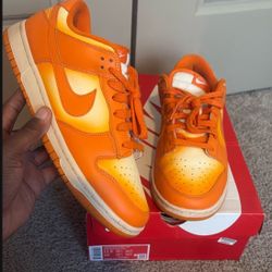 Orange Nike Dunks 